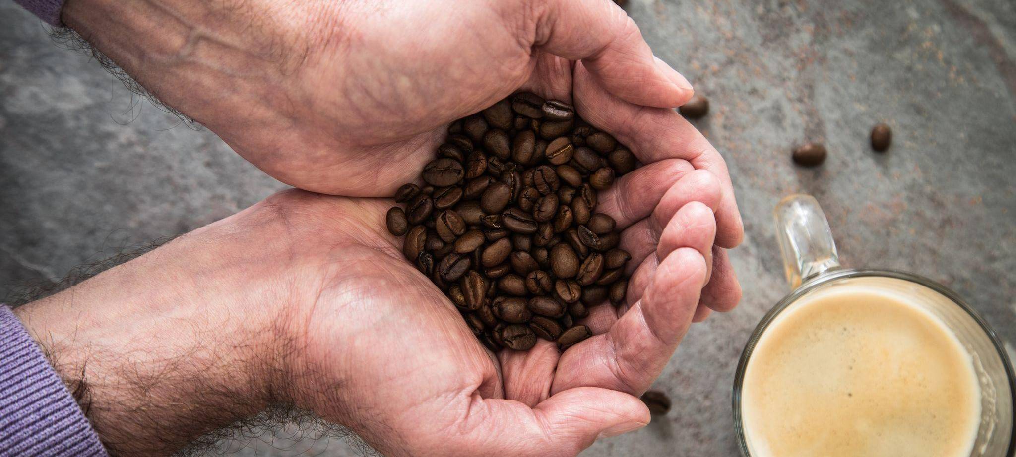 Ein Mann hält Kaffeebohnen in den Händen
