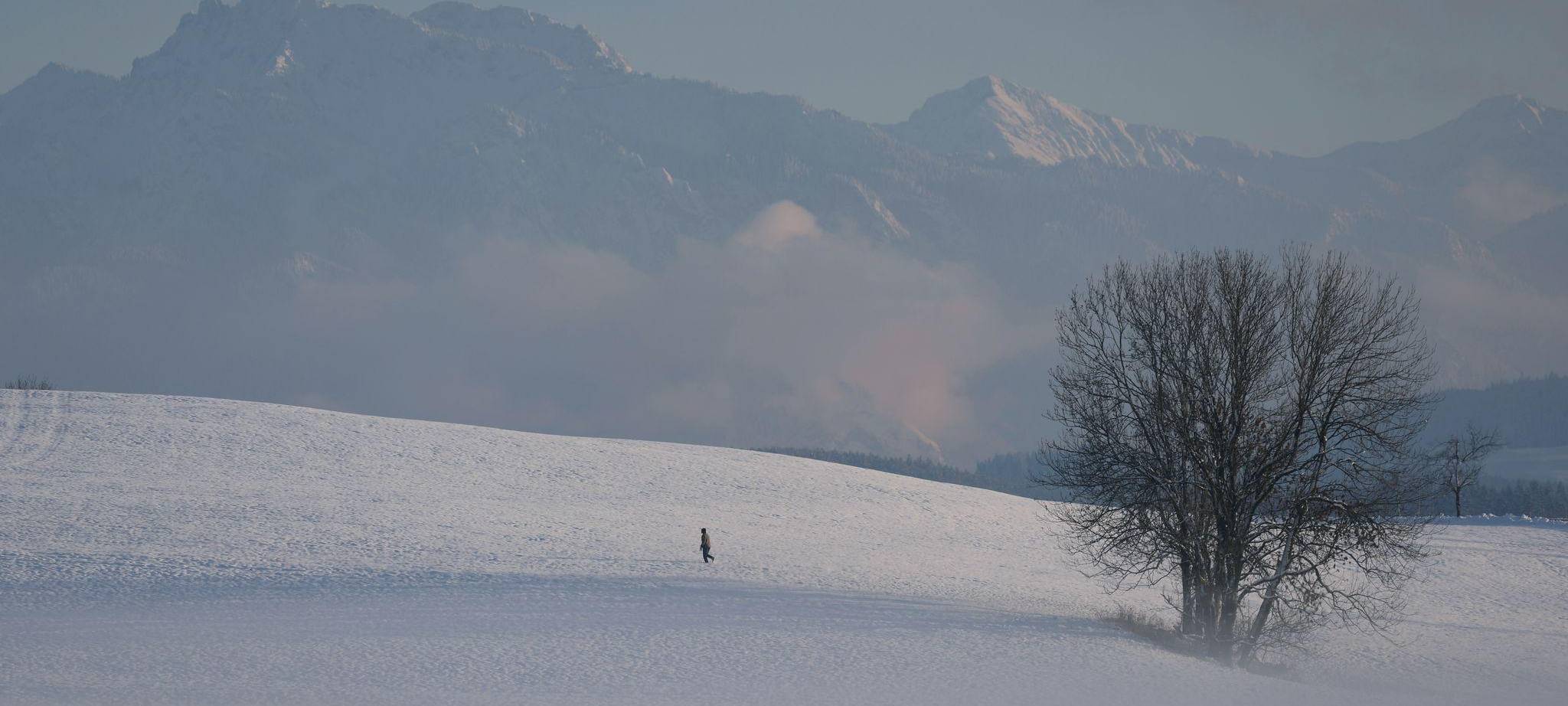 Abendliche Winterlandschaft