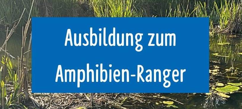 Helferinnen und Helfer gesucht