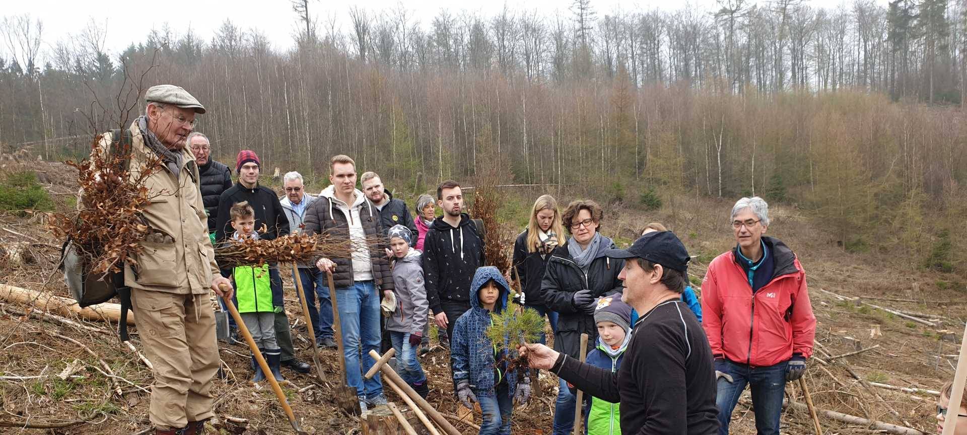 Baump´flanz-Aktion der Rotarier