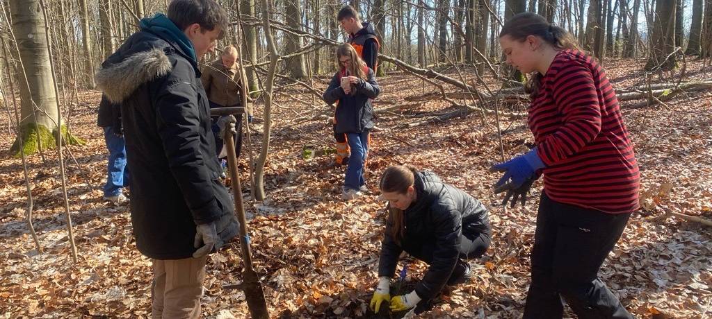 Eine Million Bäume als Fernziel