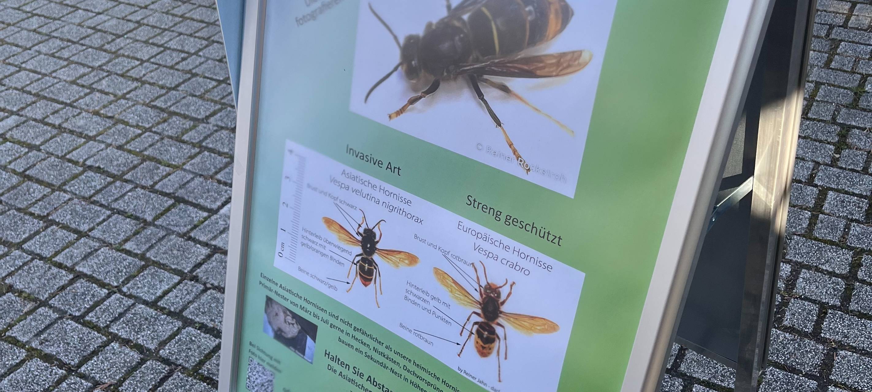 Der Bauern- und Kreativmarkt in Dahl 2026