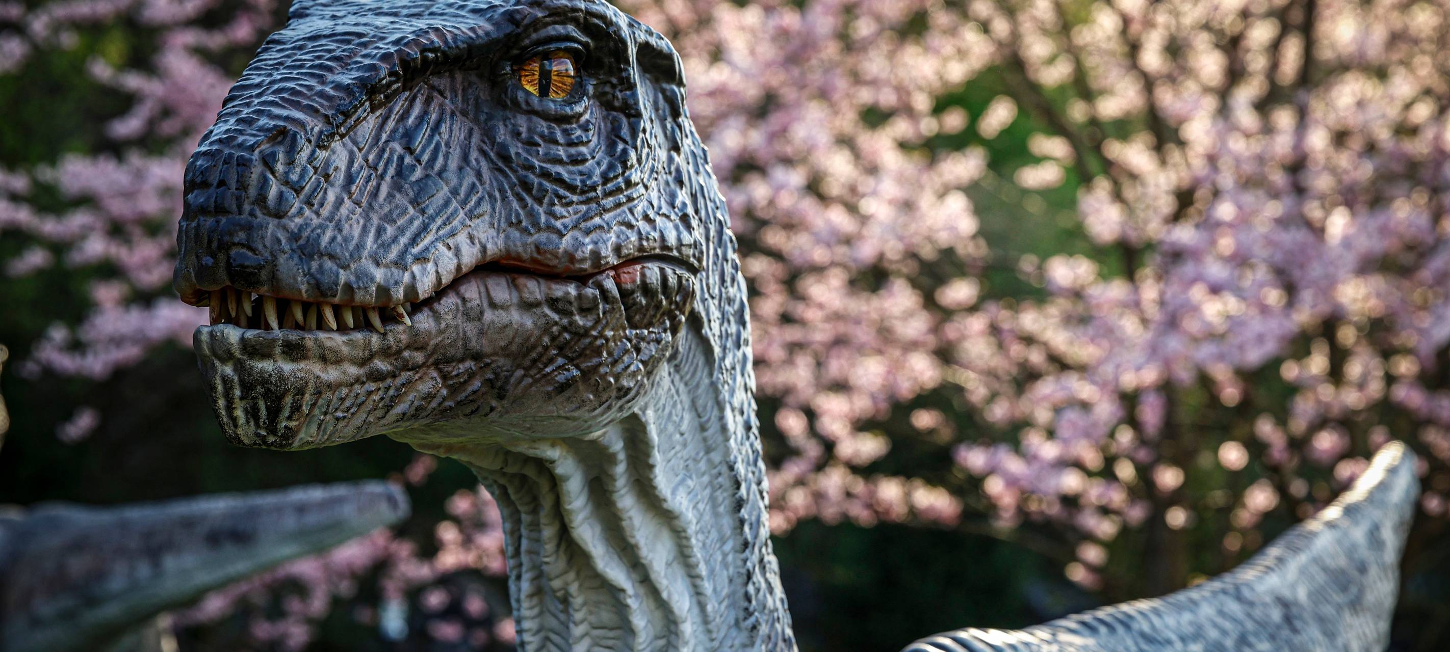 DinoGarten im Sauerlandpark