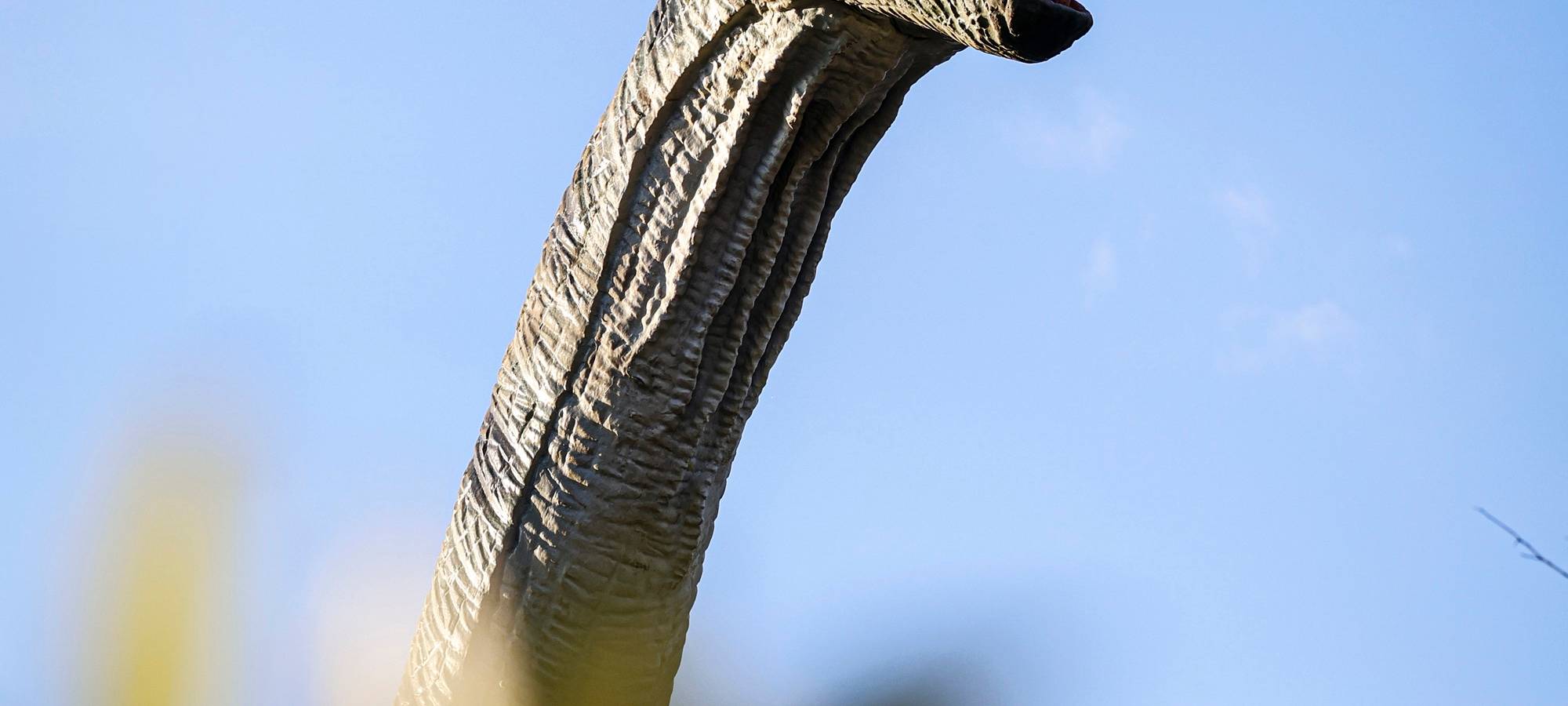 DinoGarten im Sauerlandpark