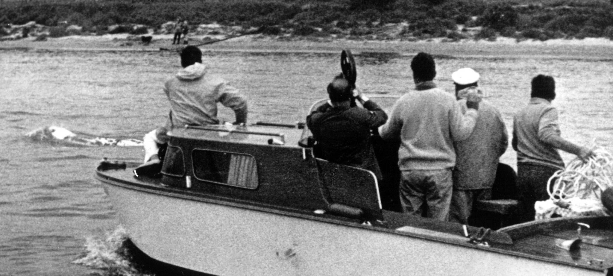 Sensation 1966 - Der weiße Wal im Rhein