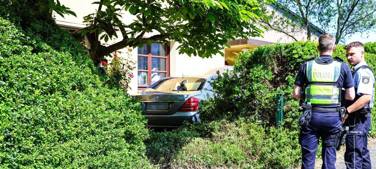 Ab durch die Hecke