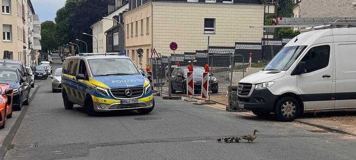 Polizeibeamte sicherten die Fahrbahn für eine verirrte Entenfamilie.