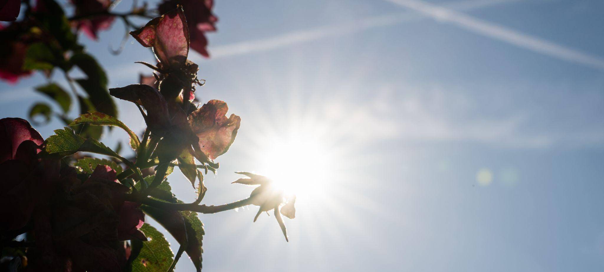 Wetter in Hessen