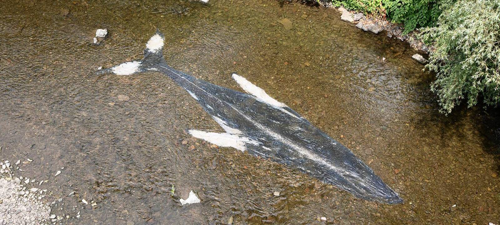 Kunstaktion sorgt für Gesprächsstoff