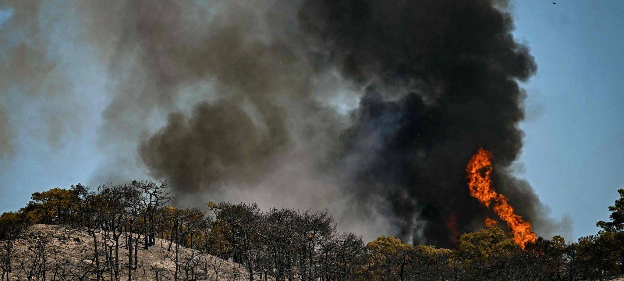 Waldbrände in Südfrankreich