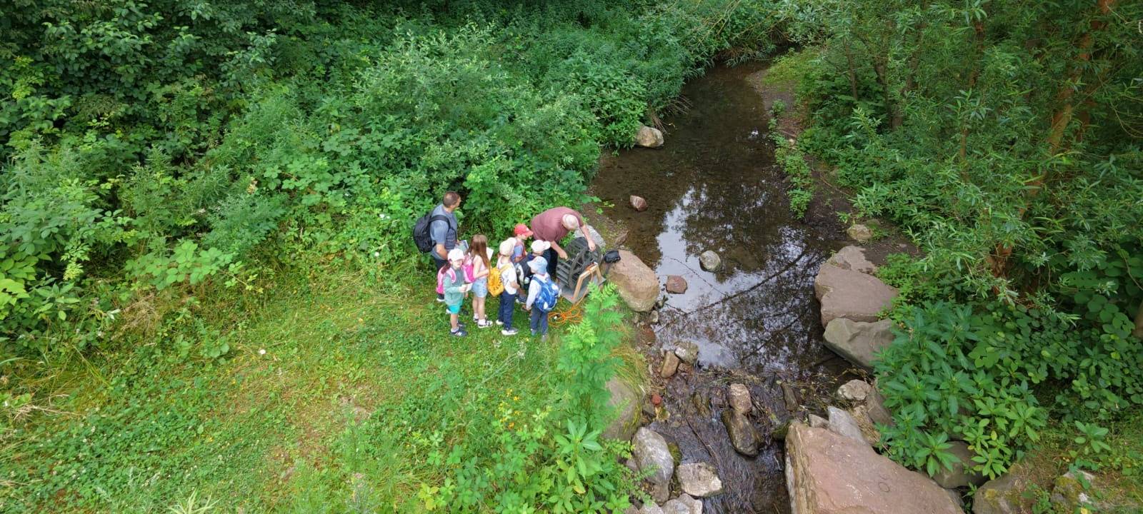 Schulprojekt im Biotop Königssee