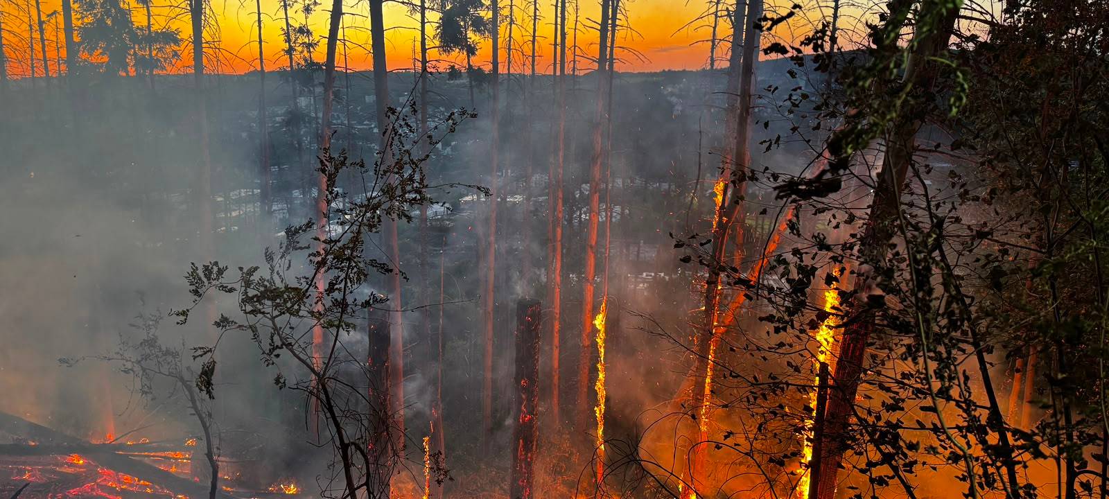 Waldbrand in haspe