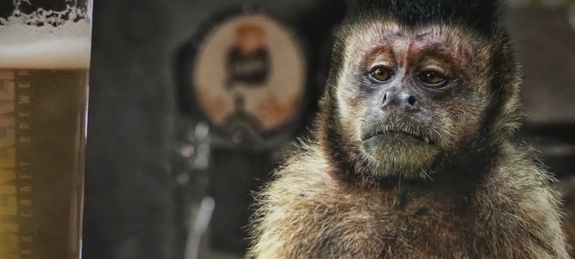 WAT NE PARTY (Kerona Übbaraschungs-Welterfolch)