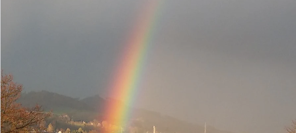 Der Regen bringt Segen
