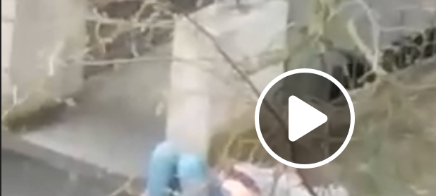 Verdacht auf Körperverletzung im Amt